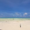 Stranden van Zanzibar
